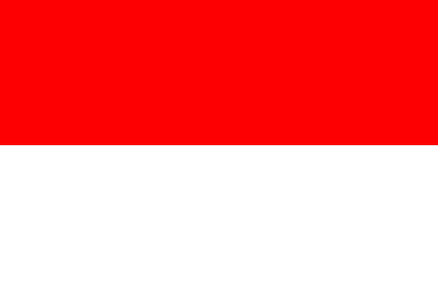 Vlag van indonesië