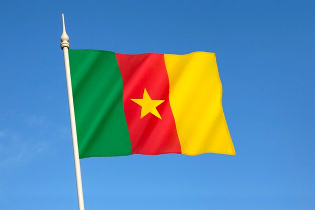 Vlag van Kameroen