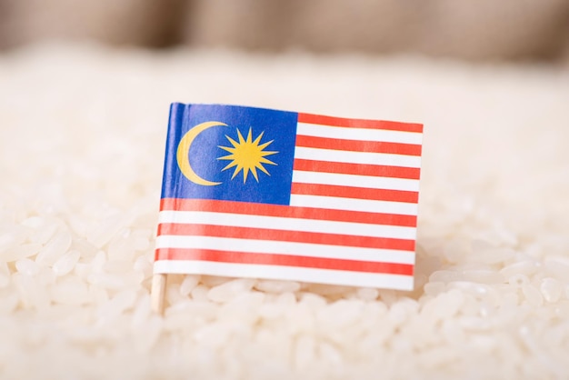 Vlag van Maleisië op rijstkorrel