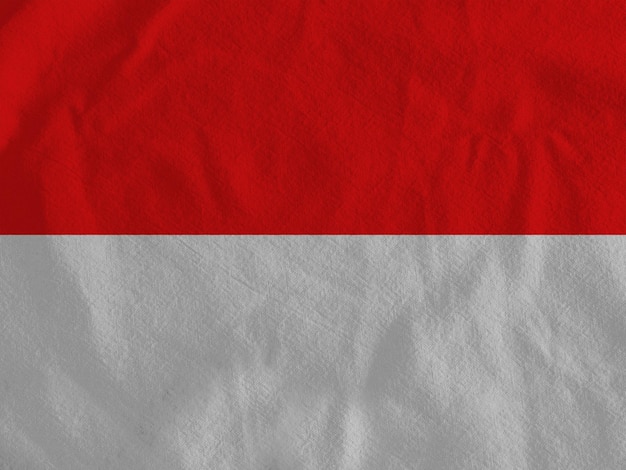 Vlag van Monaco