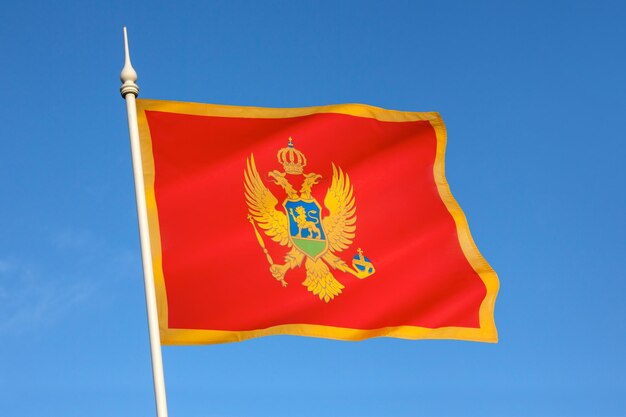 Vlag van Montenegro