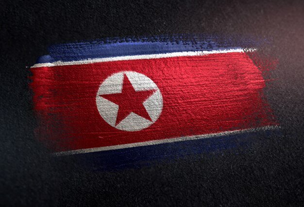 Vlag van Noord-Korea gemaakt van metallic penseel verf op grunge donkere muur