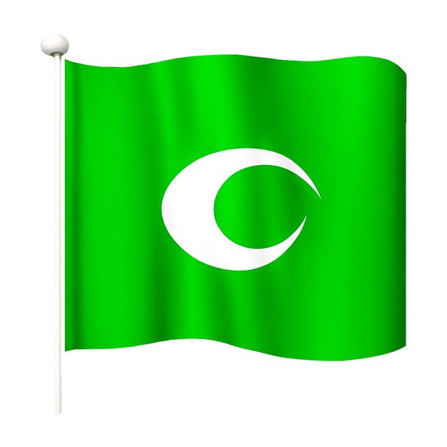 Foto vlag van pakistan