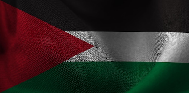 Foto vlag van palestina