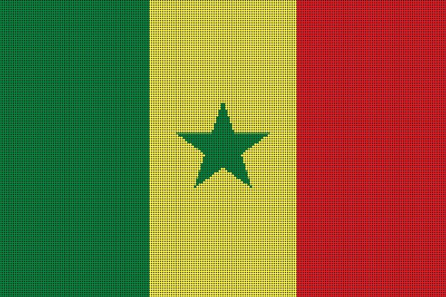 Foto vlag van senegal dot style geschilderde kleuren op een geborsteld met puntos