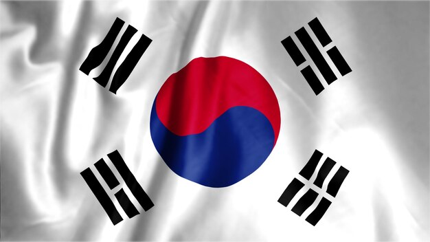 Vlag van Zuid-Korea nationale vlag Zuid-Korea stof vlag