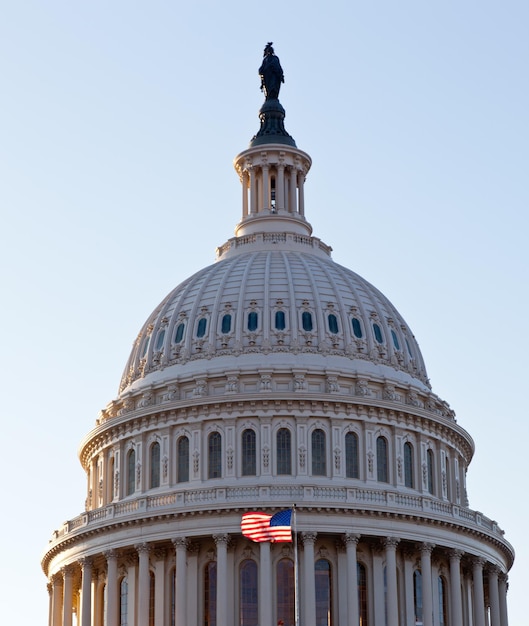 Vlag wappert voor capitol in dc