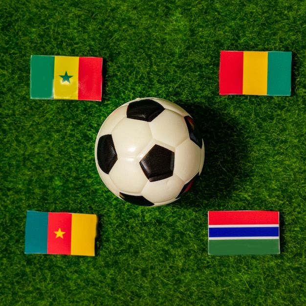 Foto vlaggen van de teams die deelnemen aan de african cup of nations 2024 senegal x aguinea kameroen gambia