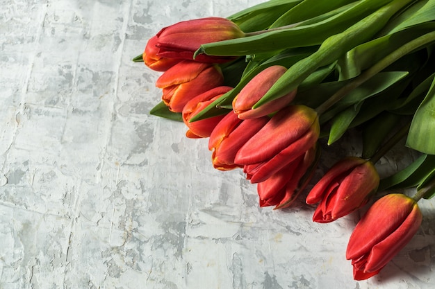 Vlak leg van Groot boeket van de lente tulp bloeit over grijze achtergrond en exemplaarruimte voor tekst.