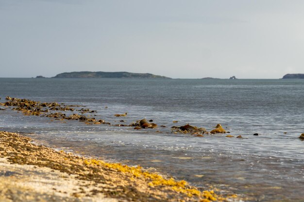 vlakke rotsachtige kustlijn bij de oceaan in Australië