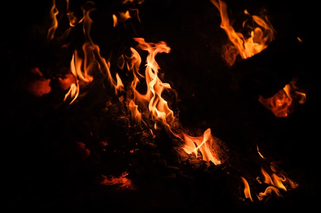 Vlammen van vreugdevuur 's nachts. Brand vlammen op een zwarte achtergrond