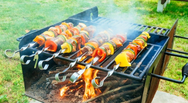 Vlees- en groentespiesjes op grill in natuurvuur