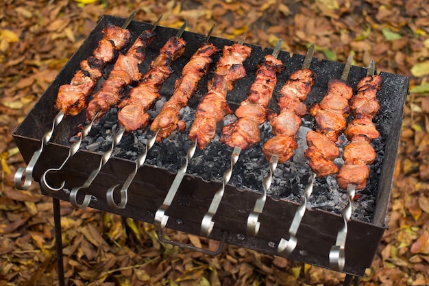 Vlees geroosterd op vuur barbecue kebabs op de grill