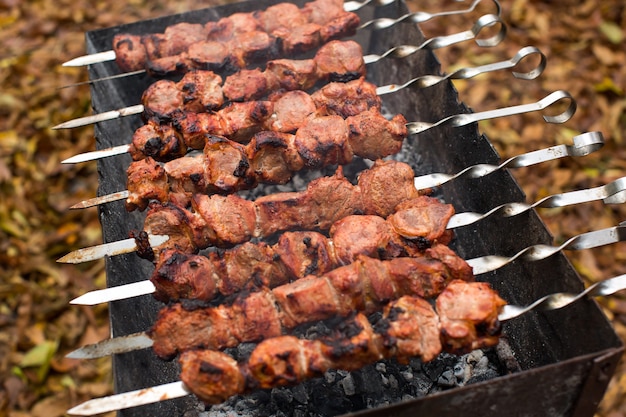 Vlees geroosterd op vuur barbecue kebabs op de grill