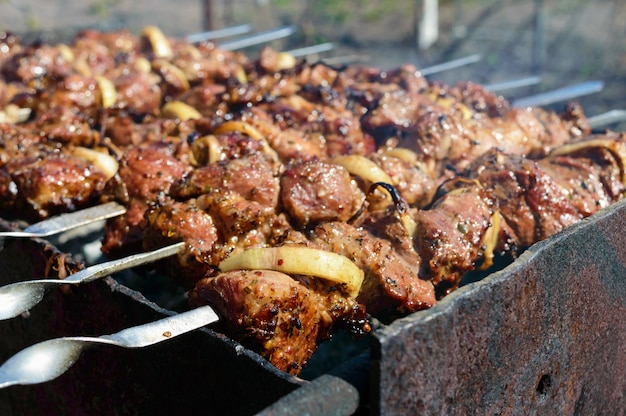 Vlees op ijzeren spiesen, gekookt op open vuur. Shish kebab buiten geroosterd. Picknick.