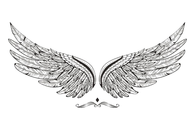 Vleugel png illustratie doorzichtige achtergrond