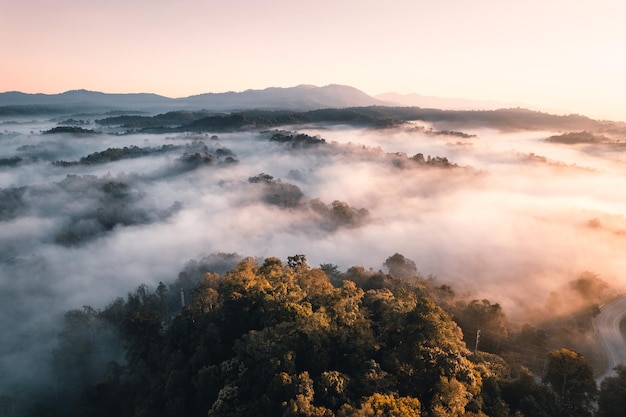 Vliegen boven de wolken zonsopgang en mist, op de heuvel