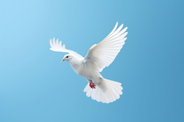 Vliegende witte duif op de blauwe hemel