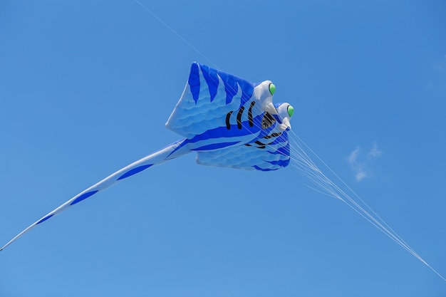 Vliegers die in een blauwe hemel vliegen