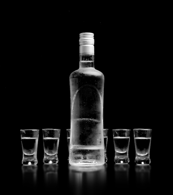 Vodka bottle and shots with ice