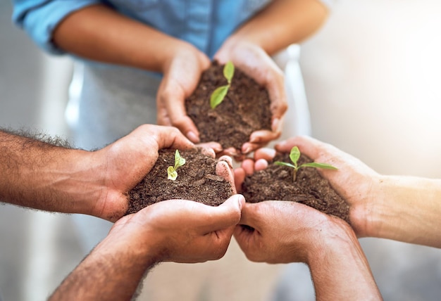 Voed de talenten van je team Close-up shot van een groep mensen die planten vasthouden die in aarde groeien