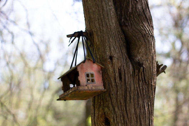 Voederbakken voor vogels in het stadspark