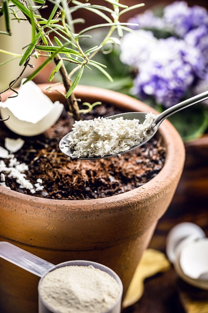 Voedselresten gebruikt als compost, eierschaal als vitamine voor plantenwortels