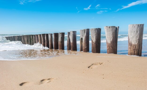 voedselstappen tussen kribben op het strand in Domburg, Zeeland, Holland