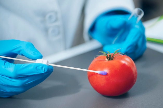 Voedselveiligheid Laboratoriumanalyse Biochemicus op zoek naar aanwezigheid van pesticiden in tomaten