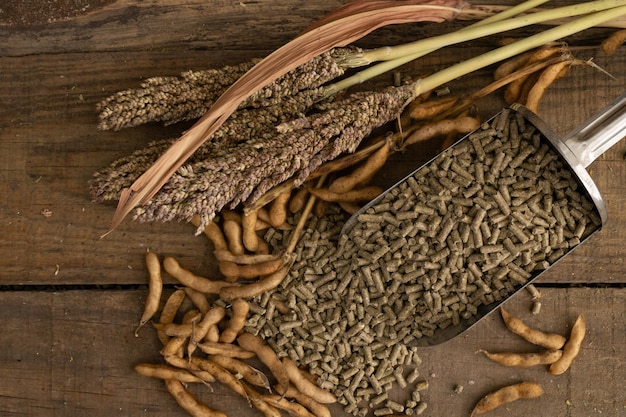 Foto voer op basis van sorghum en soja voor varkens en kippen