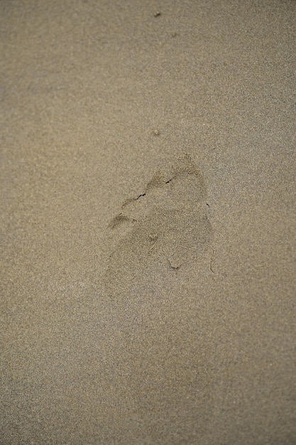 voetafdruk in zand