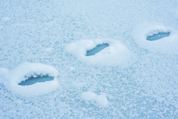 Voetafdrukken in de sneeuw