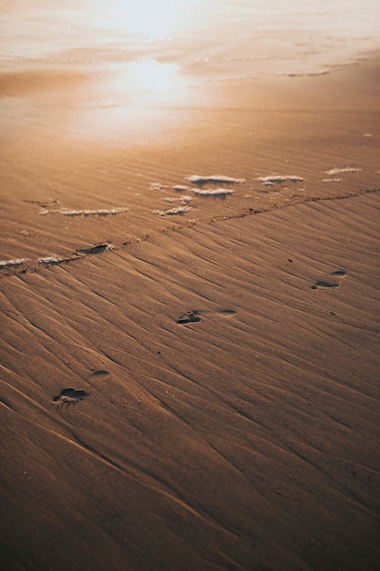 Voetafdrukken in het natte zand