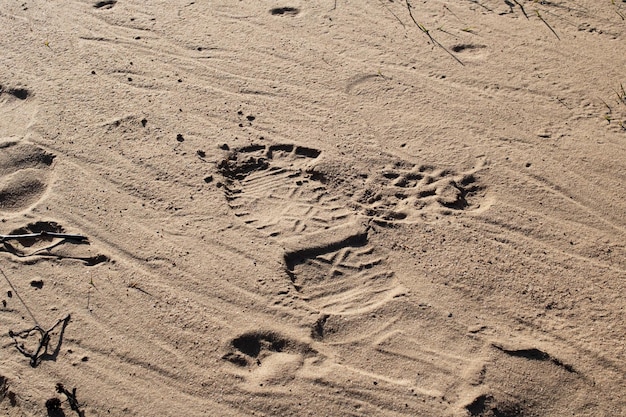 voetafdrukken in het zand op het strand