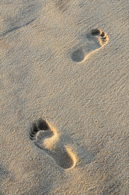 Voetafdrukken in het zand op het strand