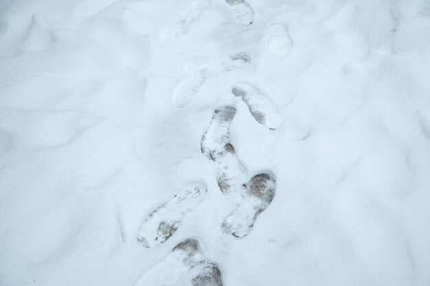 Voetafdrukken op de sneeuw Winter