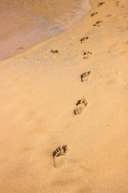 Foto voetafdrukken op het strand die wijzen op de weg die iemand heeft ingenomen