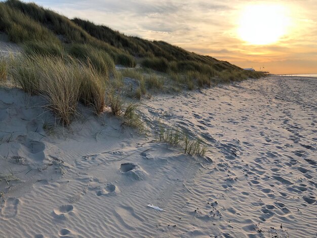 Voetafdrukken op het zand op het strand tegen de hemel bij zonsondergang