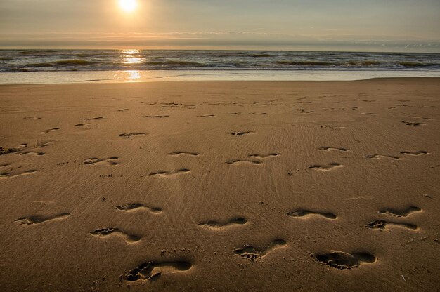 Foto voetafdrukken op het zand op het strand tegen de lucht