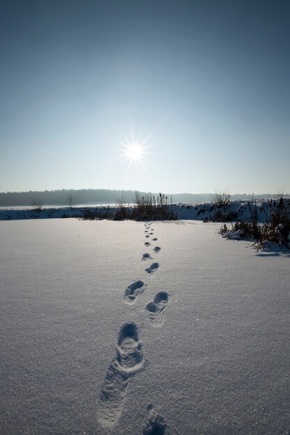 Voetafdrukken op sneeuwbanken na wandelen, bevriezen en winterse sneeuwval