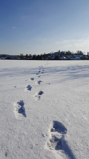 Foto voetafdrukken op sneeuwbedekt land