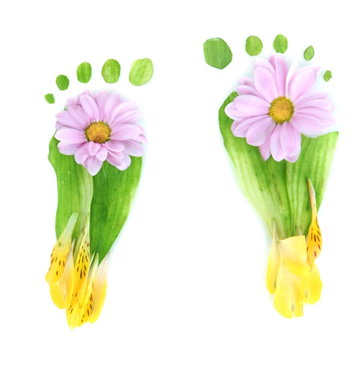 Foto voetafdrukken van bladeren en bloemen geïsoleerd op wit