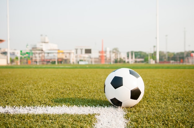Voetbal of voetbal op groen grasveld met daglicht