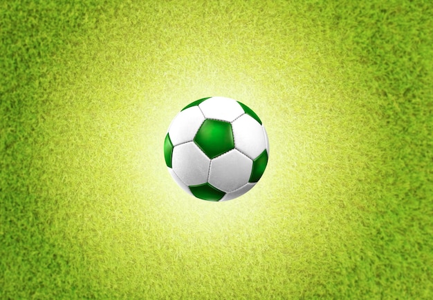 Voetbal voetbal in groen grasveld