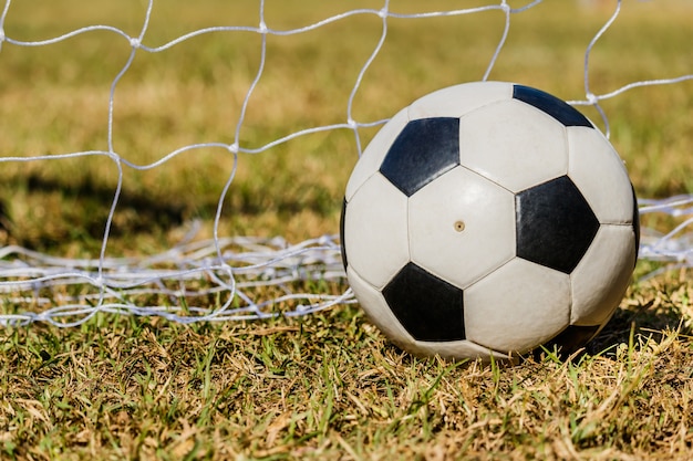 Voetbalbal op het gras en nesh