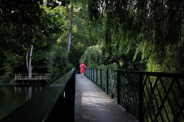 Voetbrug in het bos