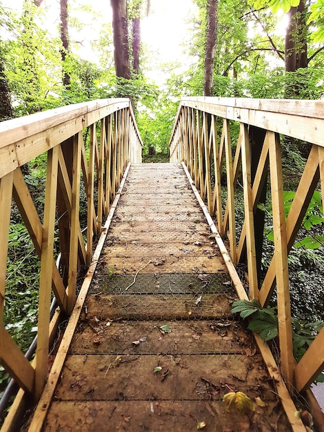 Voetbrug in het bos