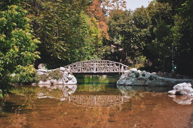 Voetbrug over het kanaal in het park in de herfst