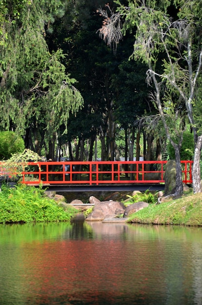 Voetbrug over kanaal in het park