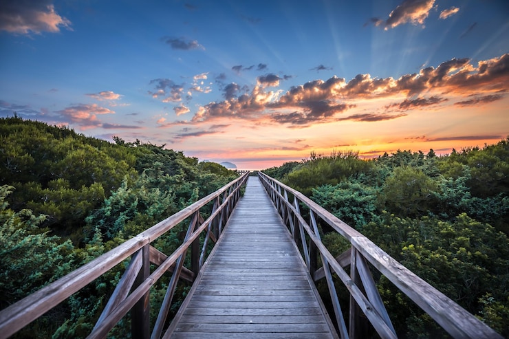 Foto voetbrug over planten tegen de lucht bij zonsondergang